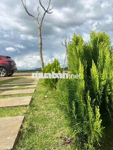 KẸT TIỀN CẦN BÁN GẤP LÔ ĐẤT NỀN HÒA NINH LÂM ĐỒNG