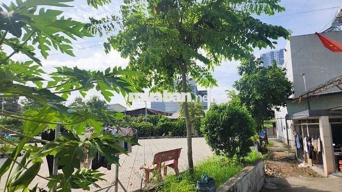 🌳 ĐẤT VIEW CÔNG VIÊN – ĐÔNG HÒA - HẺM Ô TÔ 4M – CÁCH QL1K CHỈ 100M 🌳
