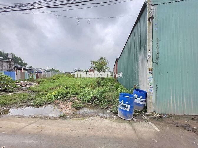 Đất đẹpn512m ngang 11m gần ngã tư Liên Huyện và chợ Tân Bình Dĩ An