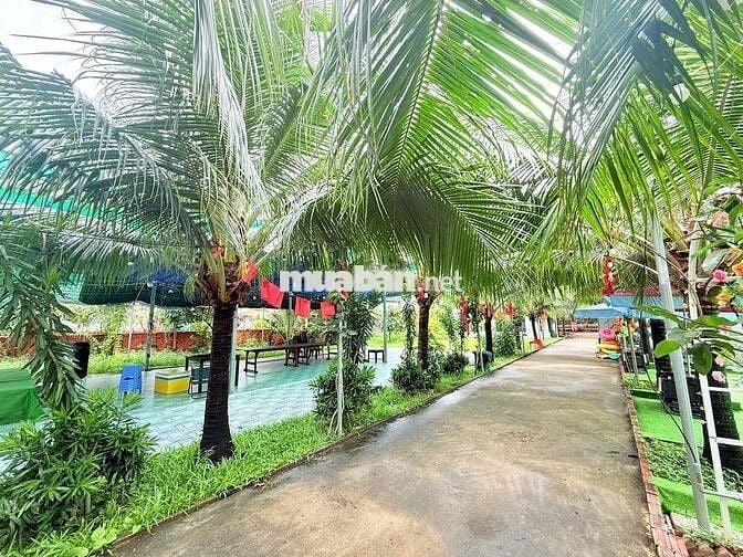 Cho Thuê Homestay Khu Long Cung Diện Tích Khủng 7000m2 : 50tr TL