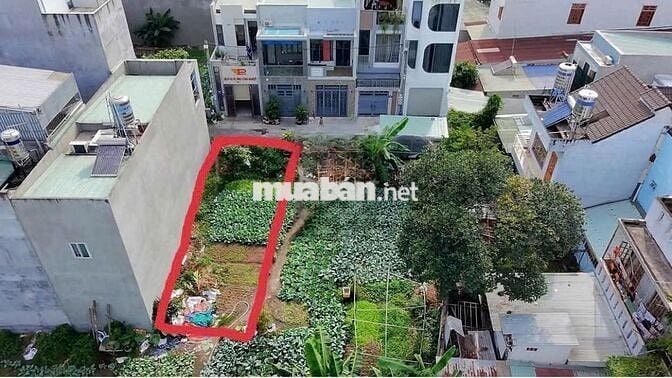 Cần Bán Đất hơn 2 tỷ | SHR Thổ Cư 100% gần chợ Nhỏ Tân Hiệp Biên Hòa