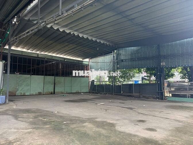 cho thuê mặt bằng mặt tiền Nguyễn Văn Linh 10 x 50 cổng kcx tân thuận