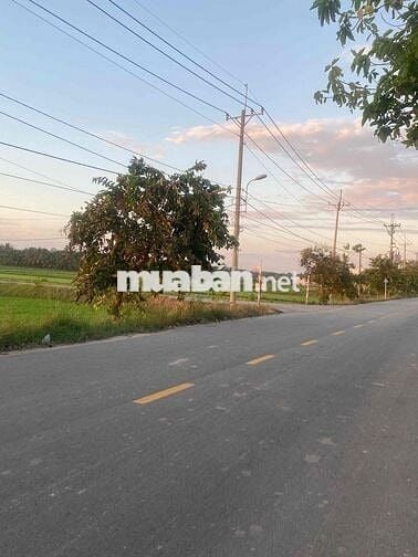 Bán Đất Mặt Tiền Đường Võ Văn Điều