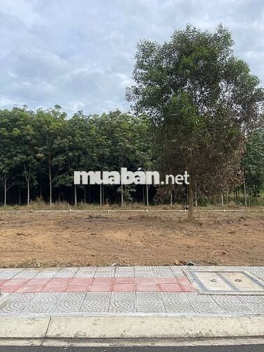 Bán Miếng Đất Ngay Trung Tâm Thành Phố Sát Vành Đai 4 Gần KCN Visip3