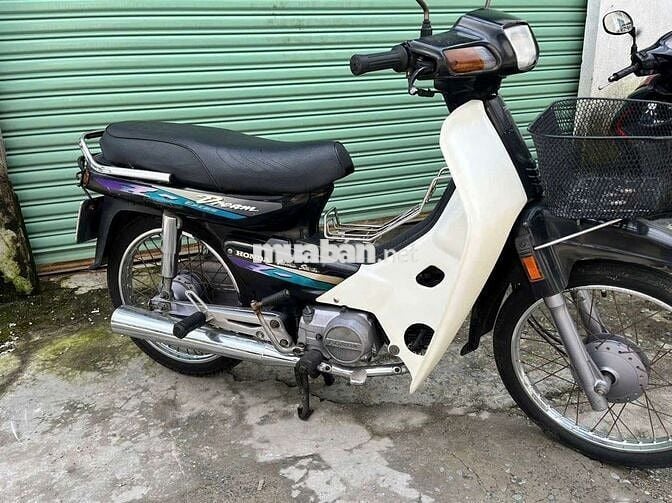 dream thái zin toàn bộ