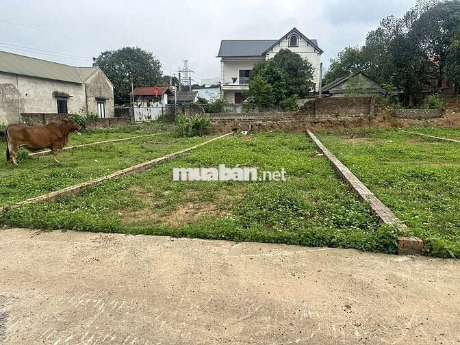 🔥🔥PHÂN LÔ - Ô TÔ TẢI - VỊ TRÍ VÀNG - FULL THỔ CƯ - ĐẦU TƯ SINH LỜI