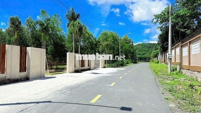 540m2 gần hồ sở bông phước hải đã xây cổng rào giá 3 tỷ 100