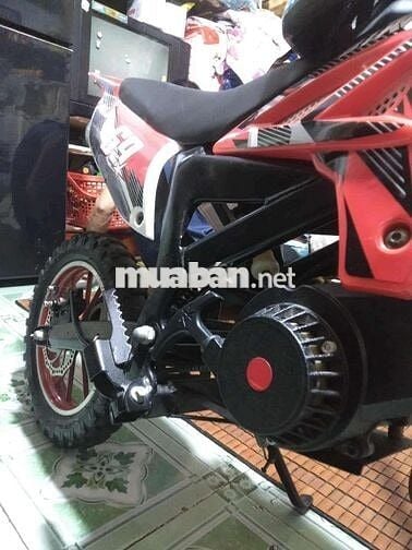 Xe cào cào mini 50cc