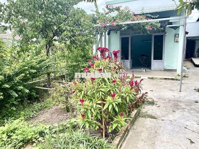 CHO THUÊ NHÀ NGUYÊN CĂN TẠI ẤP 7,XÃ PHẠM VĂN HAI,BÌNH CHÁNH