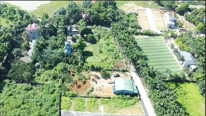 💥 Thân gửi Quý A/C thông tin 11 LÔ HÀNG CAU 💥