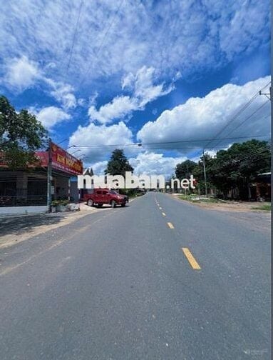 Chủ ngộp cần ra nhanh lô đất MT DH504 32M, SHR - giá chỉ 290tr