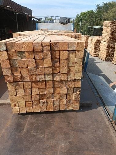 Bán gỗ Dầu, Sao, Căm se, Thông, Keo tràm... xẻ theo qui cách yêu cầu