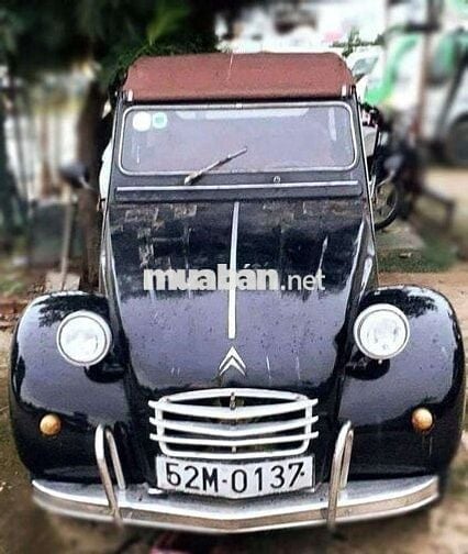 Volkswagen Beetle 1980 Màu trắng