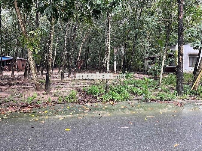 BÁN GẤP ĐẤT CHÁNH PHÚ HÒA – BẾN CÁT CHỈ TỪ 3TỶ1xx 10x63