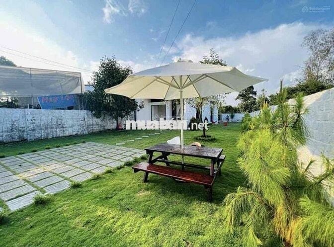 MUA ĐẤT TẶNG NHÀ VƯỜN Ở NGAY P2 BẢO LỘC CHỦ CẦN TIỀN BÁN GẤP GIÁ NGỘP