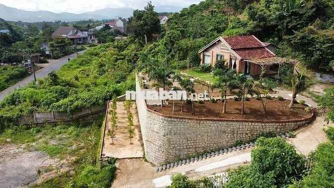 VIEW SĂN MÂY ĐỒI BÁT ÚP – MT B'LAO SIRE ĐẠI LÀO 3514M2 SẴN 300M THỔ CƯ