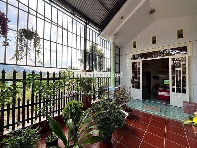 NHÀ MỚI TRUNG TÂM PHƯỜNG B'LAO - TP.BẢO LỘC - LÂM ĐỒNG DT 249M2 -6X41M