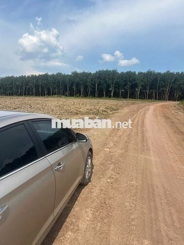 Em còn mấy lô đấy diện tích lớn - vị trí đẹp - giá bao rẻ cho mấy AC