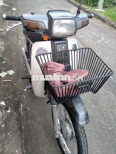 Citi thùng xám xi măng, bstp.