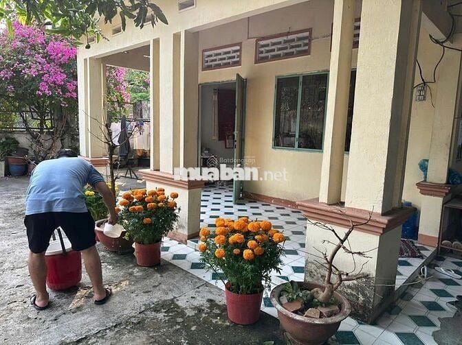 BÁN NHÀ CẠNH CHỢ LỘC HƯNG, Đ HL2, Gia Lộc, 890tr, (8x30)240 m2, SHR.