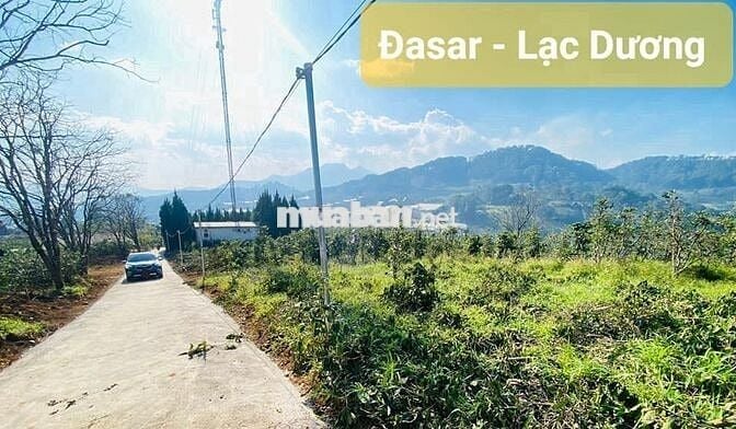 Cần tiền bán lỗ nặng lô 20x46m, 920m2 giá 300triệu Cách 10km đến ĐàLạt