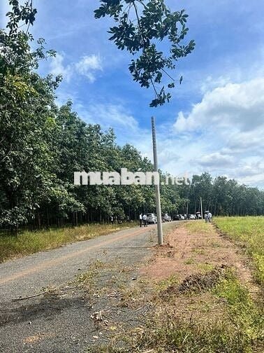 Đất sắp thổ đầu 2026 - hỗ trợ vay 200tr, dẫn coi thực tế + chia sẻ qh