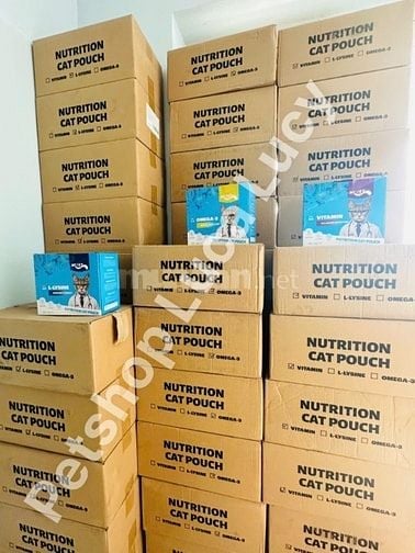 tuyển thủ kho và nhân viên kho