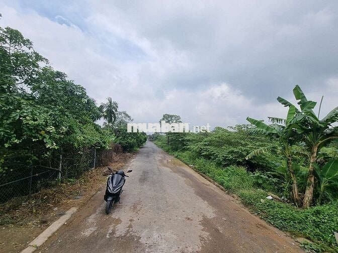 Hơn 1ha đất kdc hiện hữu 3mt Nhị Bình 10A view sông