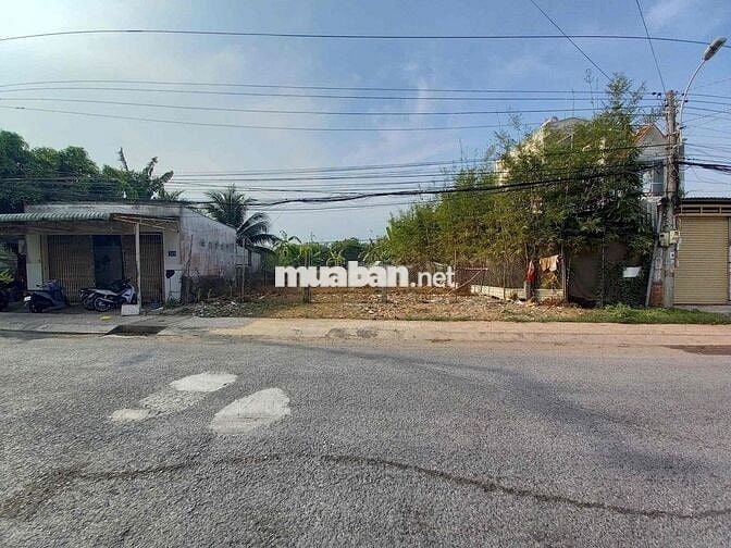 Nhà bà dì cần ra đi gấp miếng đất cho con gái đi du học