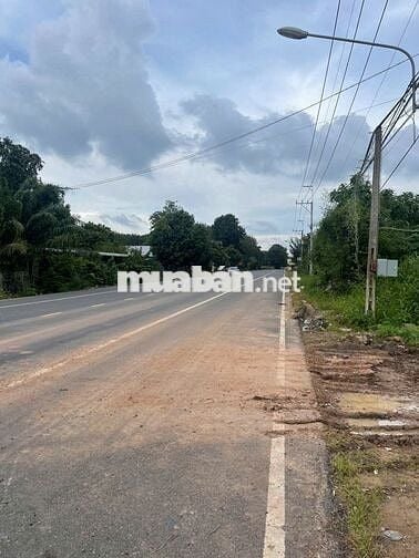 Bán gấp 300m2 thổ cư đường nhựa HL 605 32m Ngay KCN Mỹ Phước 2,3