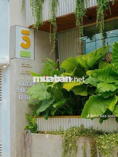 phòng trọ trong 5 homestay cao cấp