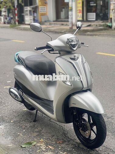 Grande zin đen led màu kỷ niệm