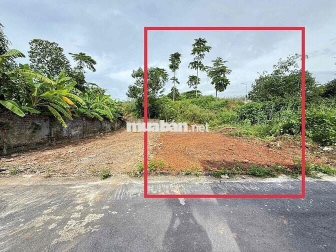 Đất gần cao đẳng Việt Xô, Xuân Hoà, Vĩnh Phúc chỉ 1.39 tỷ