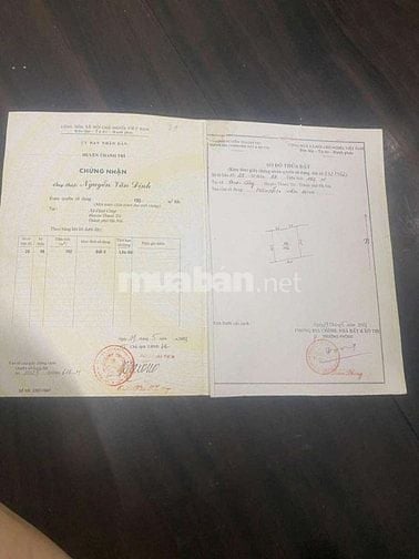 Bán đất Phố Trịnh Đình Cửu, Hoàng Mai. DT: 100m. MT: 6.5m. Giá 15,5 tỷ