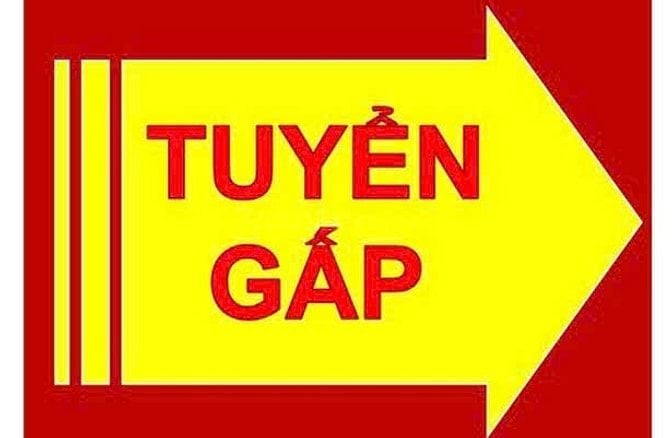 Tuyển Gấp Nhân Viên Kho Vận  - Không Cần Kinh Nghiệm 