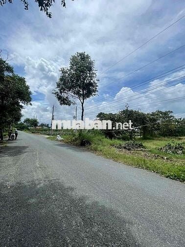 ❌❌Mặt tiền Lê Văn Cảng An Vĩnh Ngãi - DT: 20x85m~1700m2 có 600m2 thổ 💰