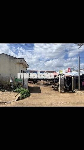 Đất Chính Chủ - Đường bên hông Chợ Trà Đa