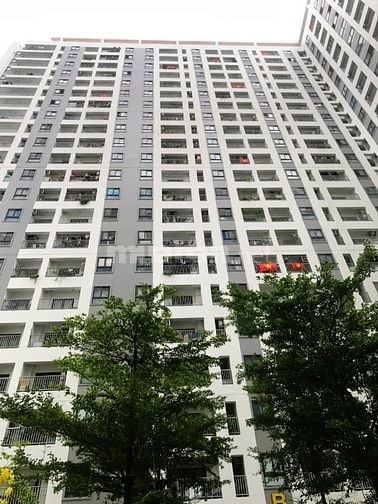 Bán căn hộ chung cư 52m2, 1.62 tỷ tại Iris Tower, Bình Hòa, Thuận 