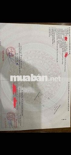 cần bán lô đất biệt thự khu 532 dt:150m2 đường 5,5m.