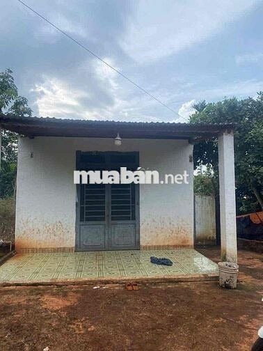 2 SÀO 5 – CÓ NHÀ CẤP 4 – MẶT TIỀN NHỰA  Co vườn trái cây các loại  Có