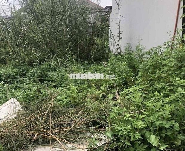 Đất 66m2 ngang 4m HXH thôn 4 Bắc Sơn, An Dương giá 1,1 tỷ