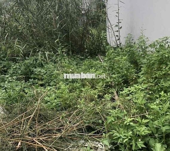 Đất 72m2 ngang 5m lô góc 2 mặt tiền thôn 4 Bắc Sơn, An Dương giá rẻ