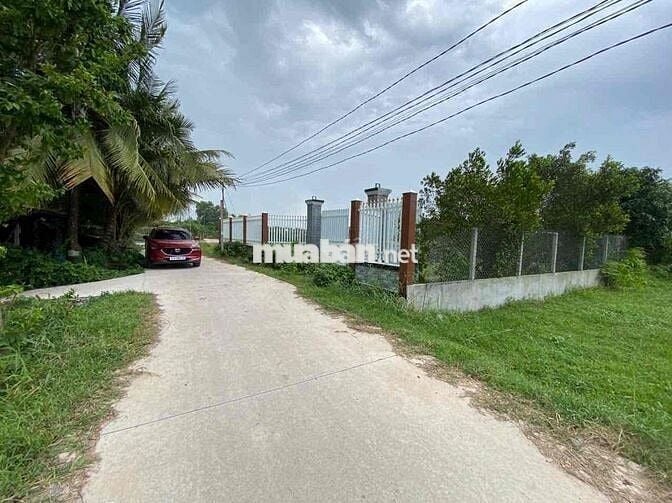 ĐẤT CHÍNH CHỦ CẦN BÁN GẤP LỘC HOÀ 2 ĐỨC HOÀ