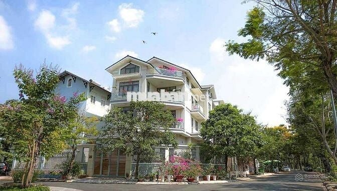 HÀNG HIẾM BIỆT THỰ 4 TẦNG (7x18) KDC VEN SÔNG P. TÂN PHONG, Q7 | 21 Tỷ