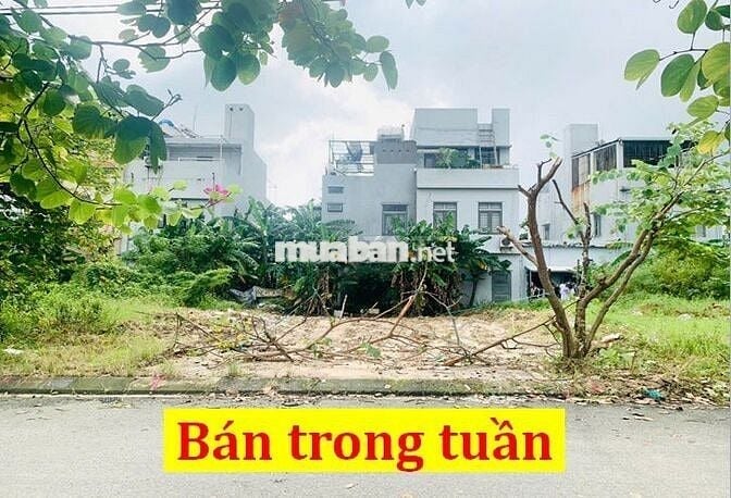 🔴💥 Đất mặt tiền Hòa Minh gần UB Quận, ĐH Bách Khoa | Sạch đẹp