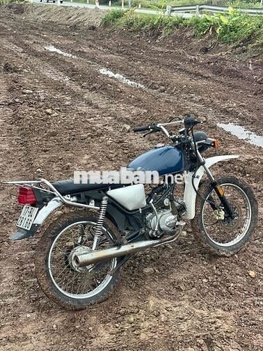 bán win detech độ dáng cào cào