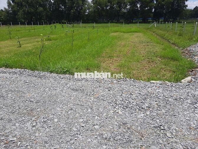 Bán gấp lô đất 127,5m² Ba Sa – nở hậu, cách QL22 5p đi xe chỉ 600tr!