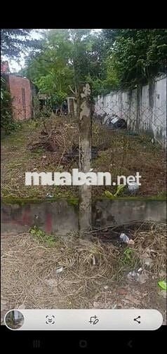 Đất ở đô thị phường Điện Bàn Đông