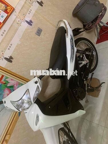 wave anpha 2023 zin chất