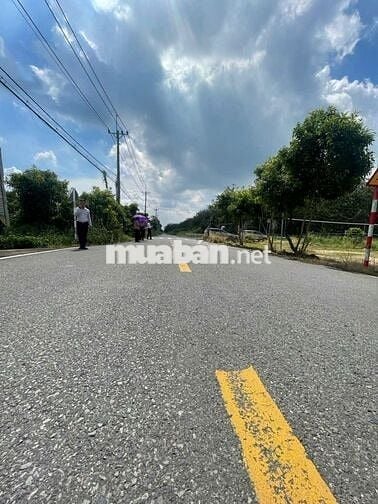 MT Bùi Thị Điệt 11x15 Thổ 100% 1tỷ450tr, sổ riêng,Nhựa 9m, vay hết đất